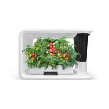 Load image into Gallery viewer, AS9006 Cherry Tomato (8 Capsules)
