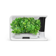 Load image into Gallery viewer, AS9014 Coriander (8 Capsules)
