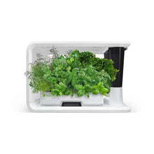 Load image into Gallery viewer, AS9002 Herb Selected (8 Capsules)
