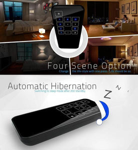 RC0003 Large Remote Controller for Remote/Dimmer