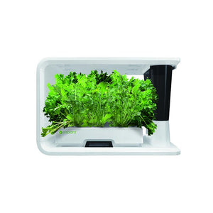 AS9003 Salad Special (8 Capsules)